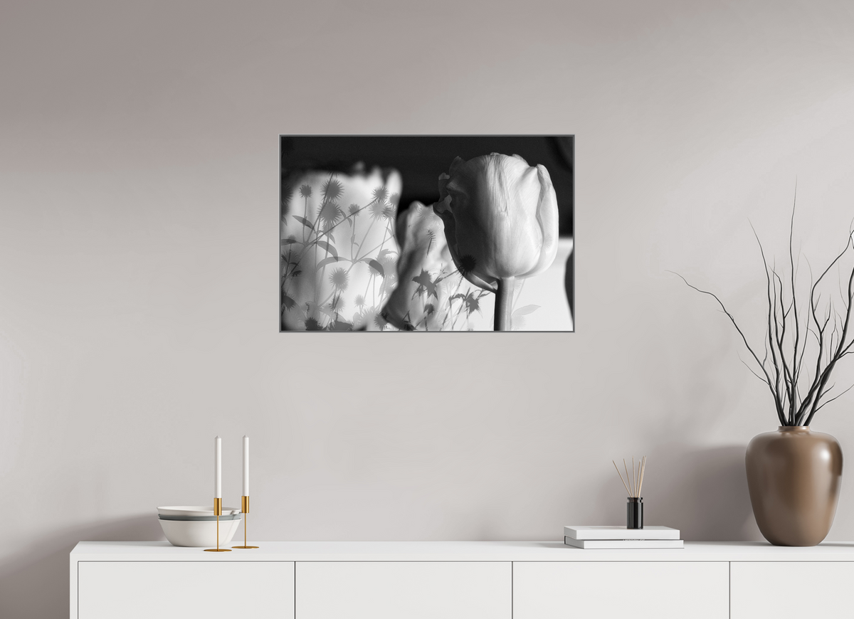 75 x 50 cm, Foto-Abzug hinter Acrylglas glänzend, ArtBox aus Aluminium (Silber) Im Schatten der Blüte