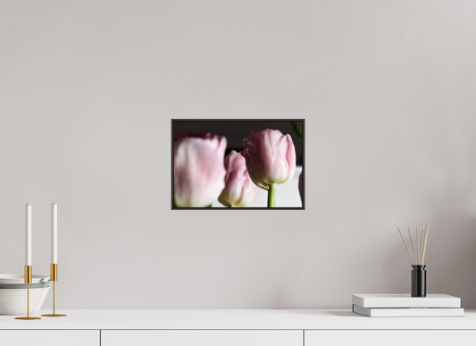 30 x 20 cm, Foto-Abzug hinter Acrylglass Glänzend, ArtBox aus Aluminium (Schwarz) 05a Im Licht
