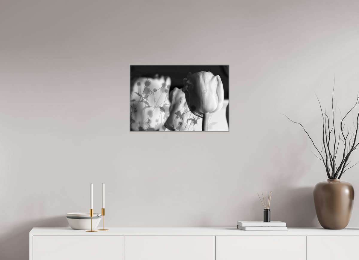 60 x 40 cm, Foto-Abzug hinter Acrylglas glänzend, ArtBox aus Aluminium (Silber) Im Schatten der Blüte