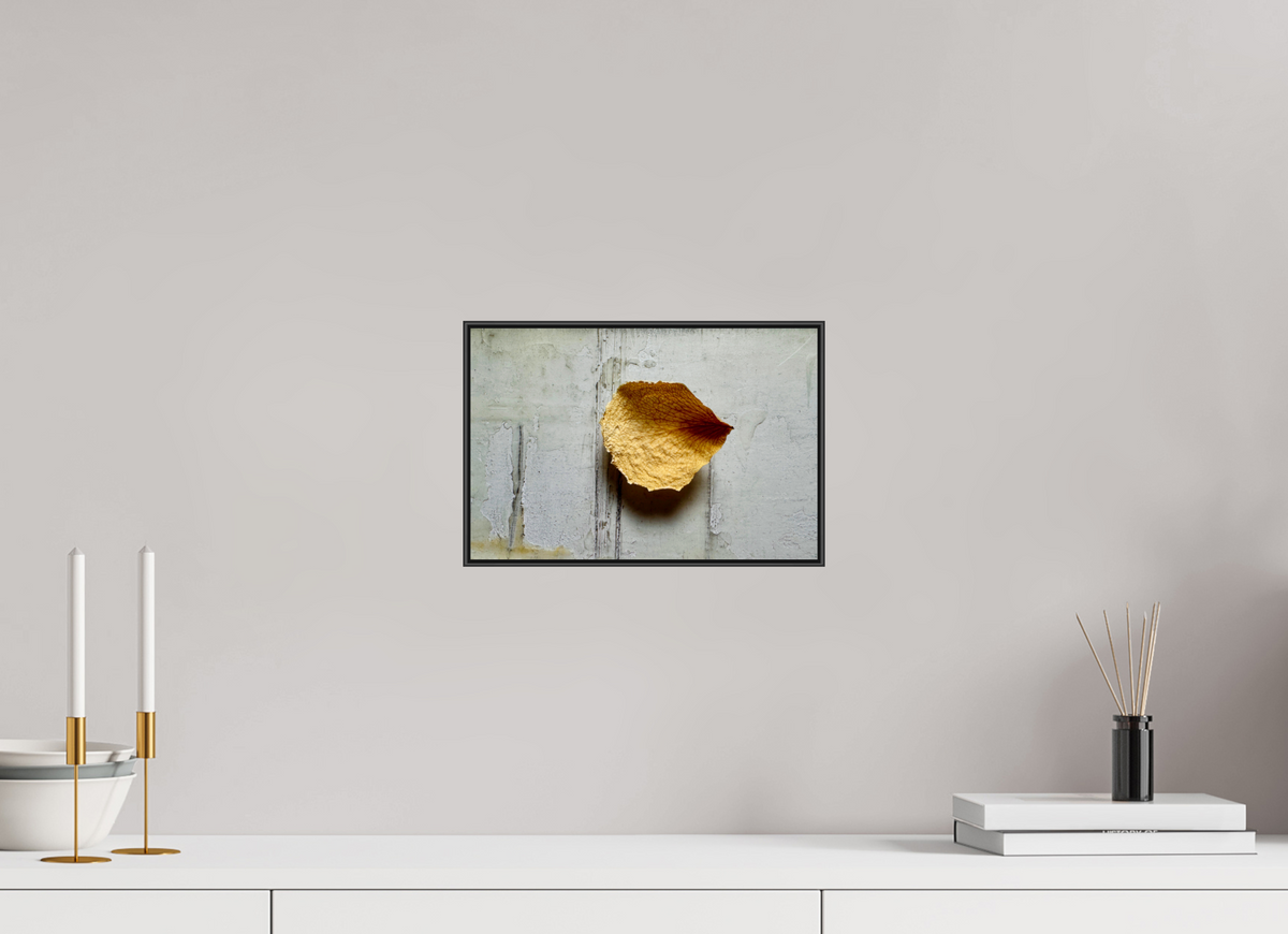 30 x 20 cm, Foto-Abzug hinter Acrylglass Glänzend, ArtBox aus Aluminium (Schwarz) 18a Spuren des Vergehens