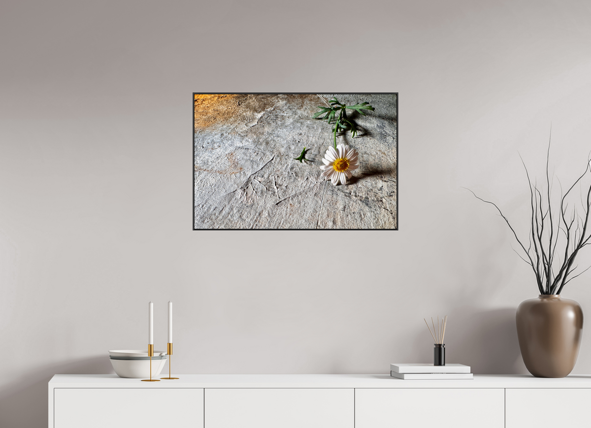 75 x 50 cm, ArArtBox aus Aluminium, Profiltiefe 25 mm (Schwarz) Ohne Titel 15