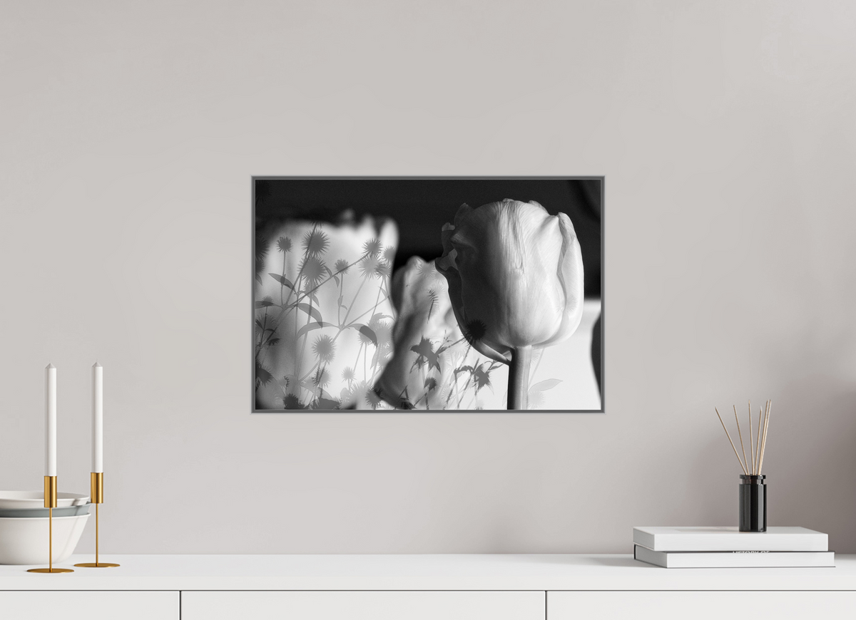 45 x 30 cm, Foto-Abzug hinter Acrylglas glänzend, ArtBox aus Aluminium (Silber) Im Schatten der Blüte