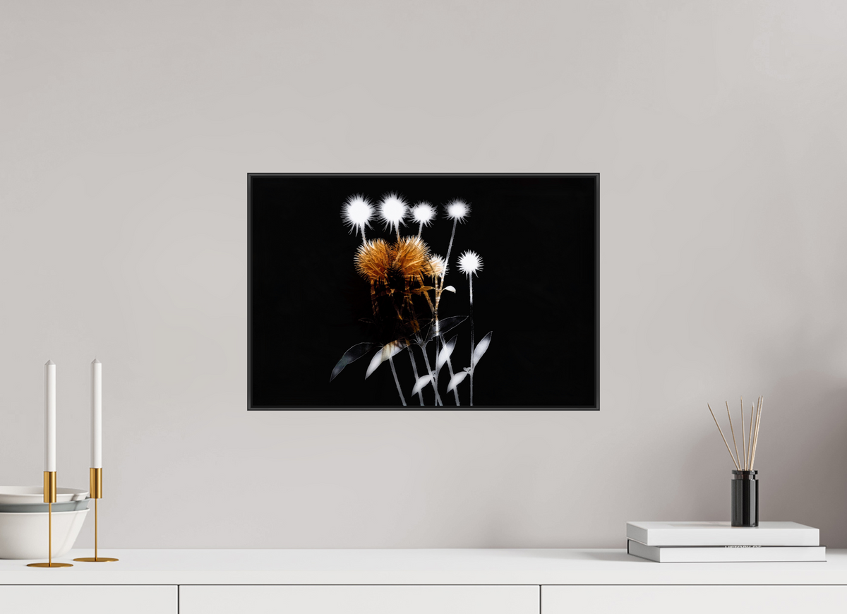 45 x 30 cm, Foto-Abzug hinter Acrylglass Glänzend, ArtBox aus Aluminium (Schwarz) 07a Flüchtiges Leuchten