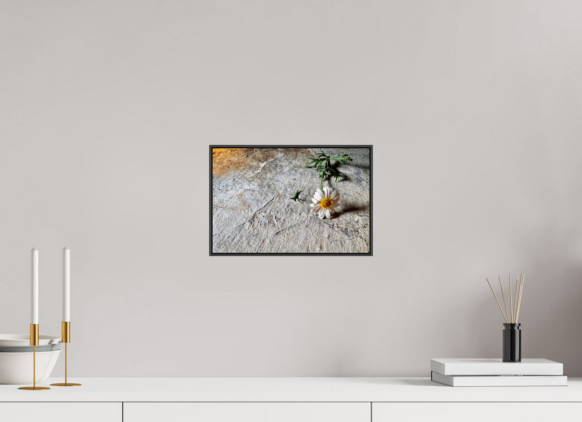 30 x 20 cm, Foto-Abzug hinter Acrylglass, glänzend, ArtBox aus Aluminium (Schwarz) 16 Fragile Begegnungen 05