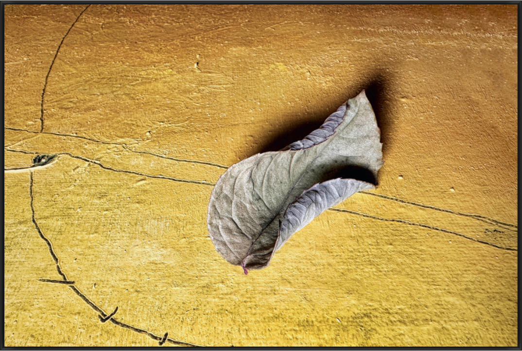 Vertrocknetes Blatt auf goldfarbener, strukturierter Oberfläche