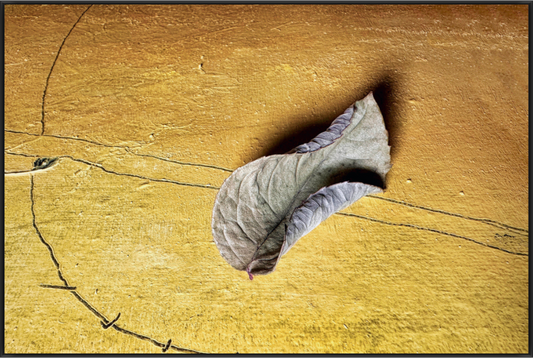 Vertrocknetes Blatt auf goldfarbener, strukturierter Oberfläche