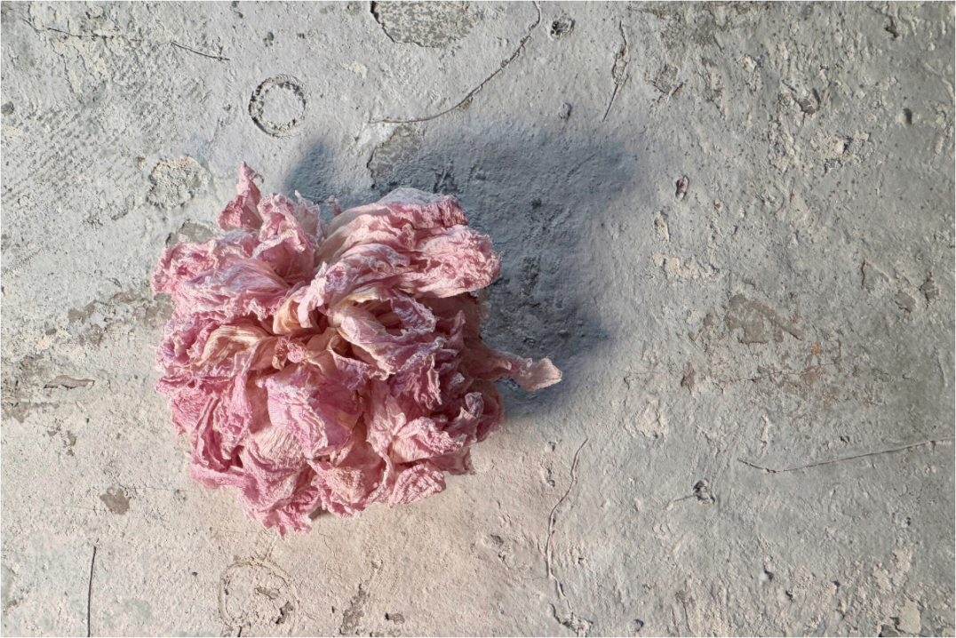 Verwelkte rosa Blüte auf heller, strukturierter Oberfläche