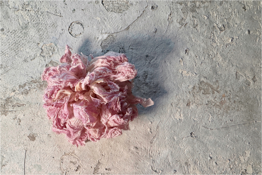 Verwelkte rosa Blüte auf heller, strukturierter Oberfläche
