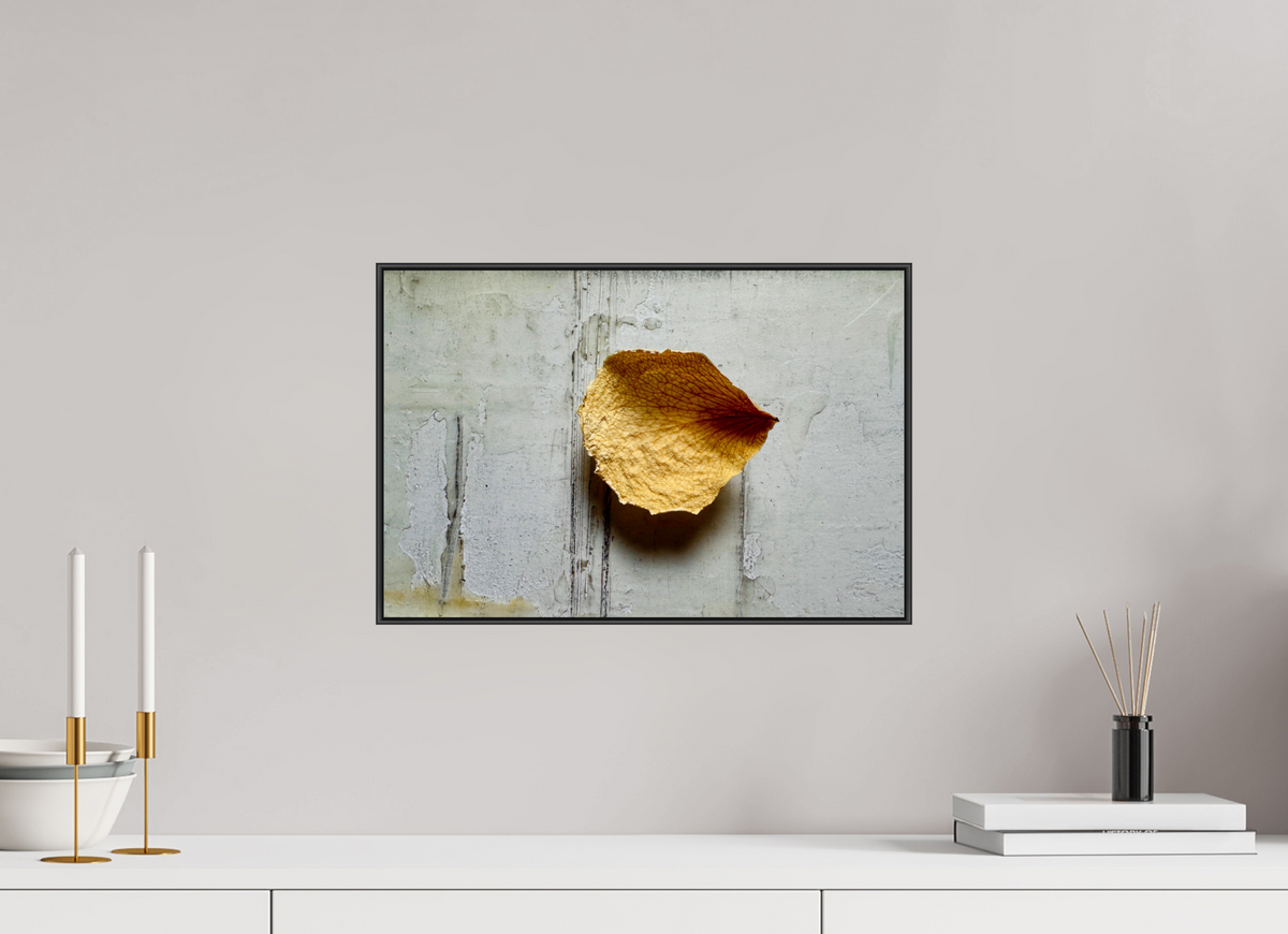 45 x 30 cm, Foto-Abzug hinter Acrylglass Glänzend, ArtBox aus Aluminium (Schwarz) 18a Spuren des Vergehens