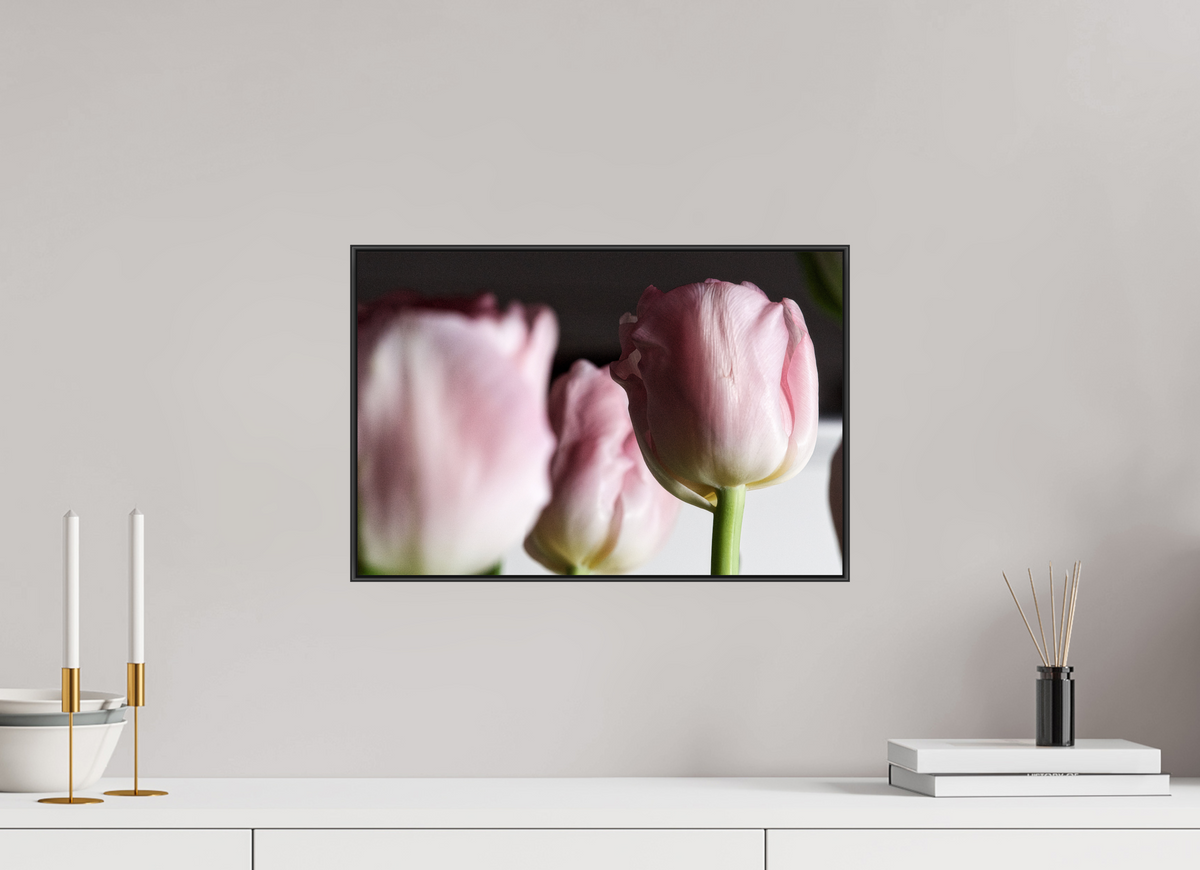 45 x 30 cm, Foto-Abzug hinter Acrylglass Glänzend, ArtBox aus Aluminium (Schwarz) 05a Im Licht
