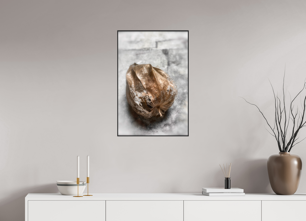 50 x 75 cm, Foto-Abzug hinter Acrylglass Glänzend, ArtBox aus Aluminium (Schwarz) 14b Fragile Begegnungen 3a