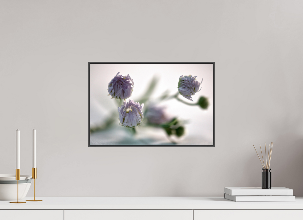 45 x 30 cm, ArArtBox aus Aluminium, Profiltiefe 25 mm (Schwarz) Ohne Titel 06