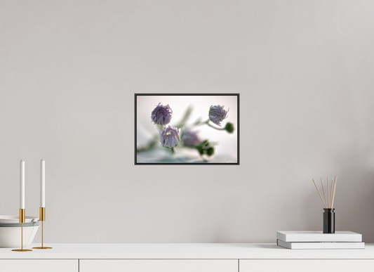 30 x 20 cm, Foto-Abzug hinter Acrylglass, glänzend, ArtBox aus Aluminium (Schwarz) 06 Im Flüstern des Lichts
