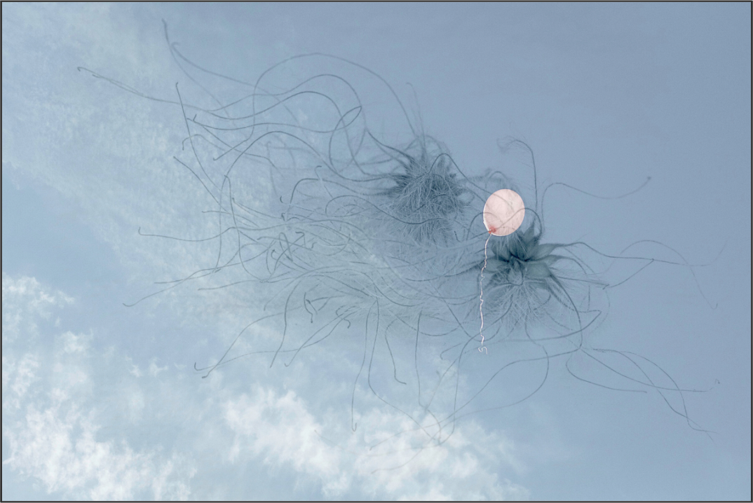 Feine Pflanzenstrukturen und ein schwebender Ballon vor blauem Himmel
