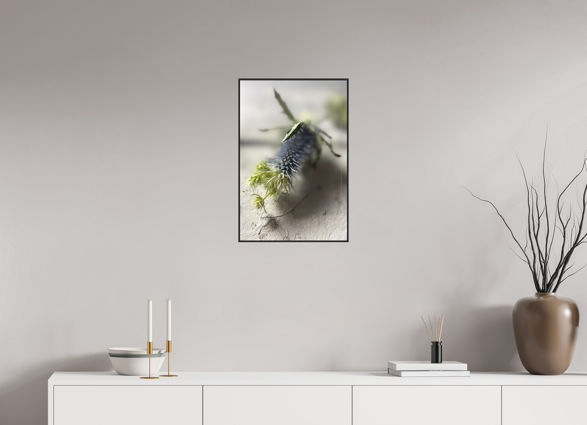 40 x 60 cm, Foto-Abzug hinter Acrylglass Glänzend, ArtBox aus Aluminium (Schwarz) 14a Fragile Begegnungen 3a