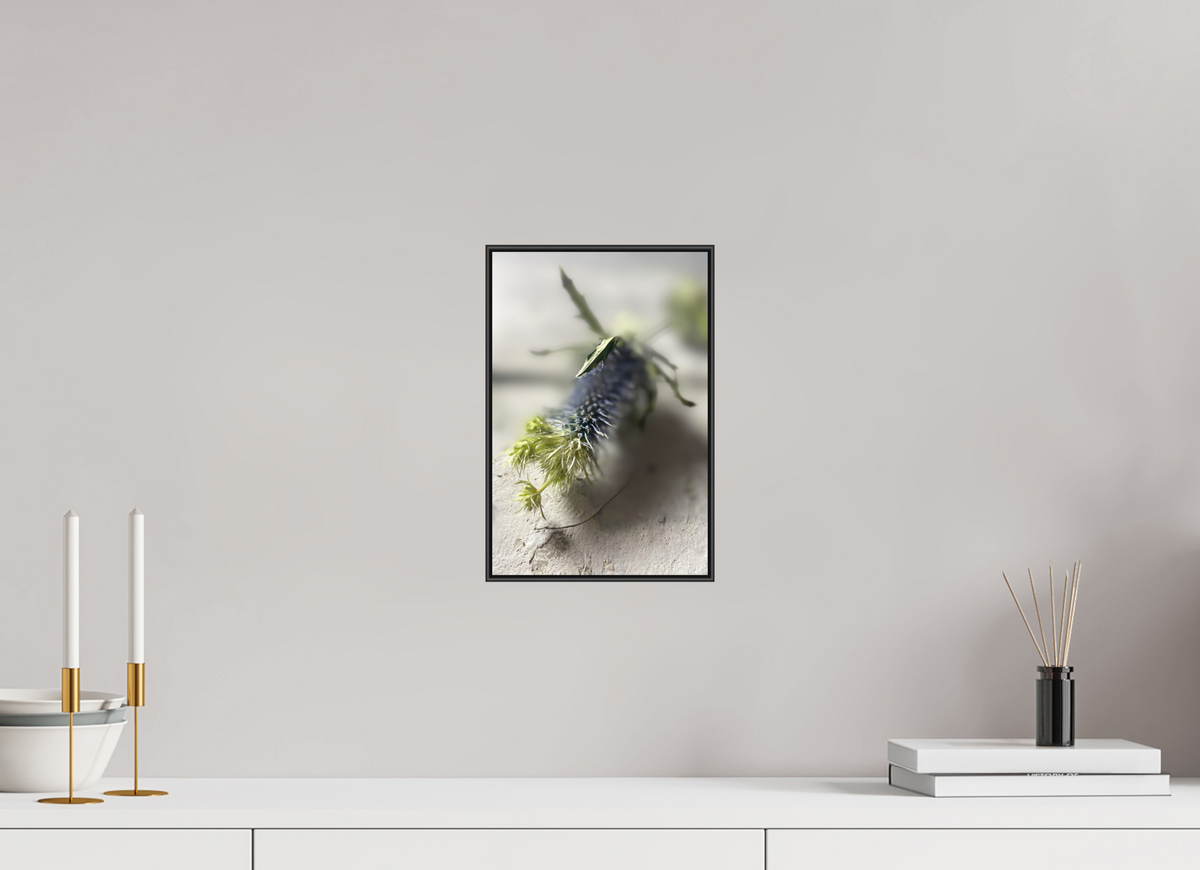 20 x 30 cm, Foto-Abzug hinter Acrylglass Glänzend, ArtBox aus Aluminium (Schwarz) 14a Fragile Begegnungen 3a