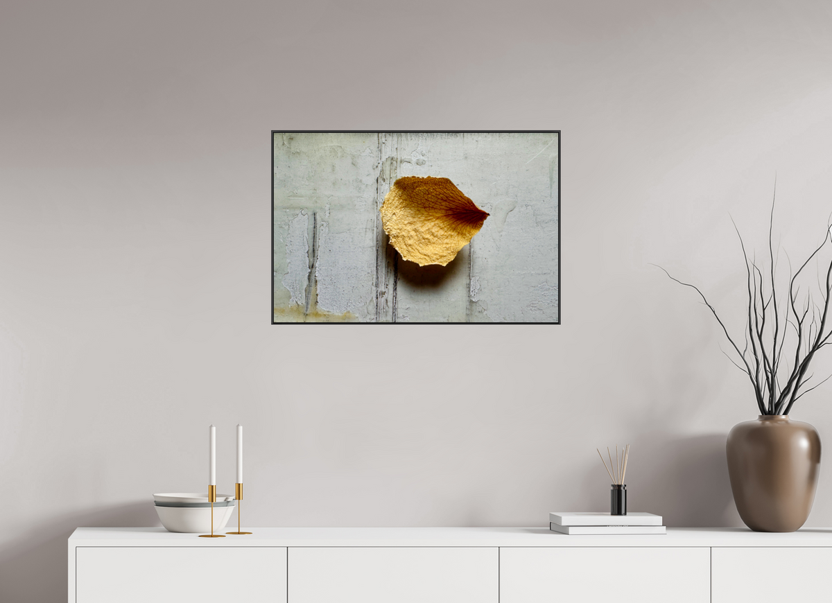 75 x 50 cm, Foto-Abzug hinter Acrylglass Glänzend, ArtBox aus Aluminium (Schwarz) 18a Spuren des Vergehens
