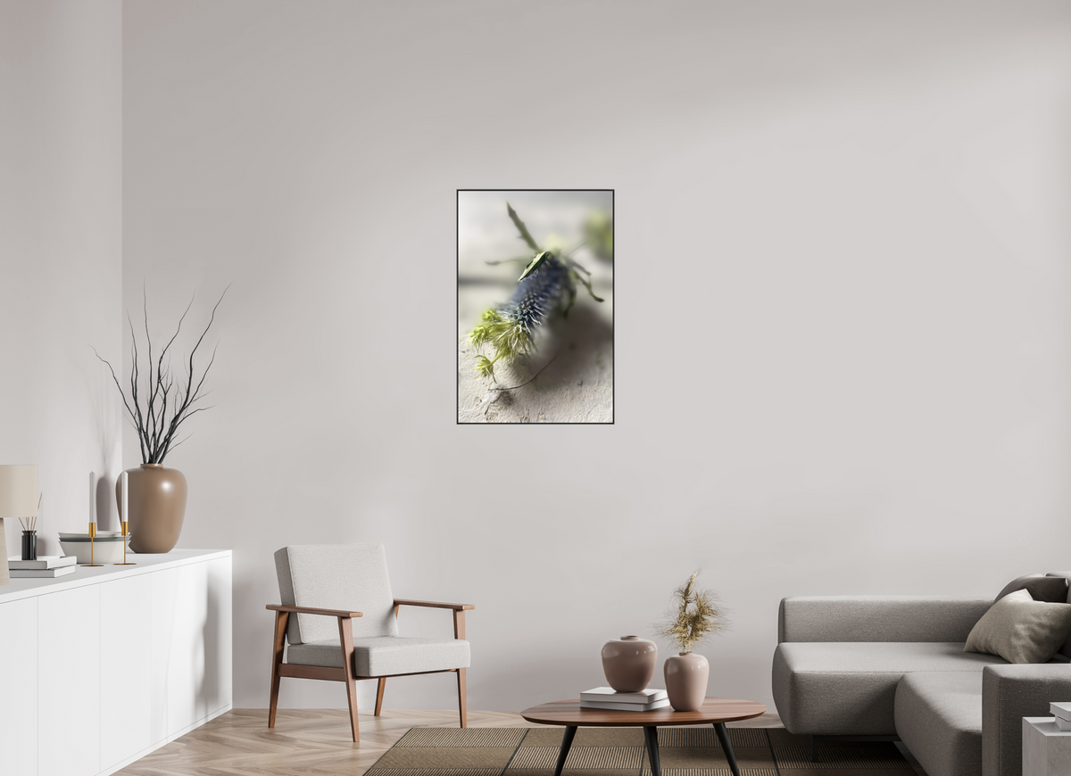 60 x 90 cm, Foto-Abzug hinter Acrylglass Glänzend, ArtBox aus Aluminium (Schwarz) 14a Fragile Begegnungen 3a