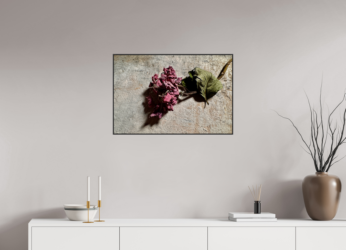 75 x 50 cm, Foto-Abzug hinter Acrylglass Glänzend, ArtBox aus Aluminium (Schwarz) 17a Fragile Begegnungen 6a