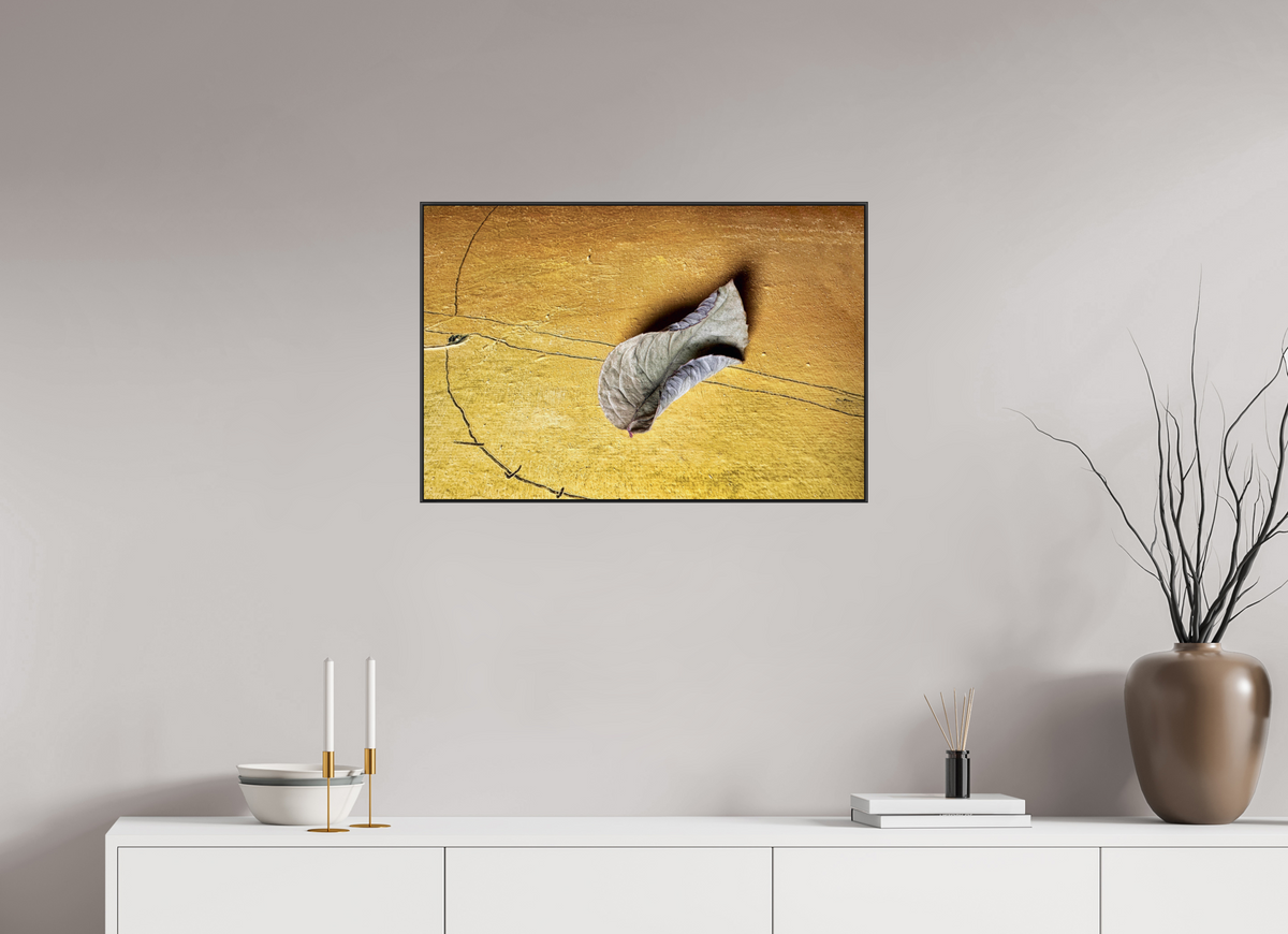 75 x 50 cm, Foto-Abzug hinter Acrylglass glänzend, ArtBox aus Aluminium (Schwarz) Ohne Titel 17