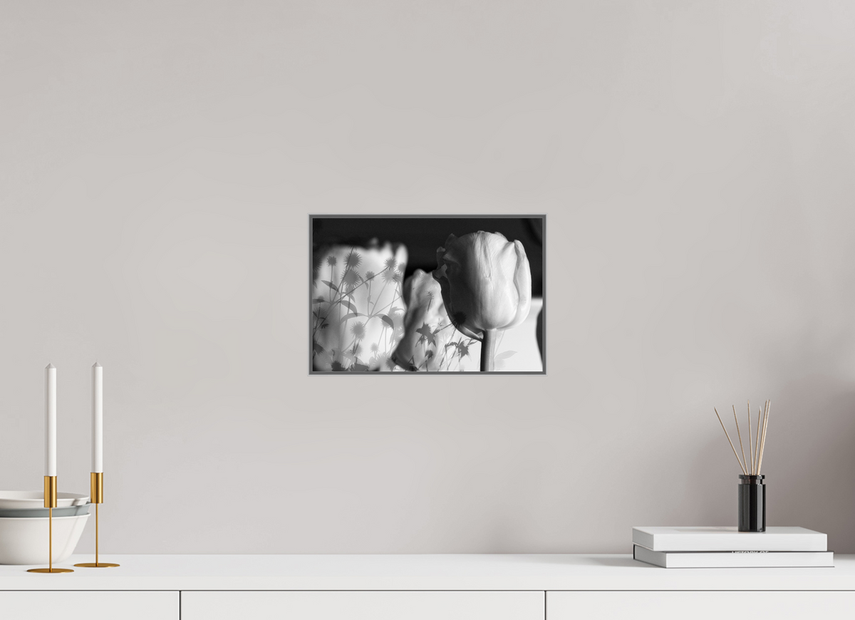 30 x 20 cm, Foto-Abzug hinter Acrylglas glänzend, ArtBox aus Aluminium (Silber) Im Schatten der Blüte