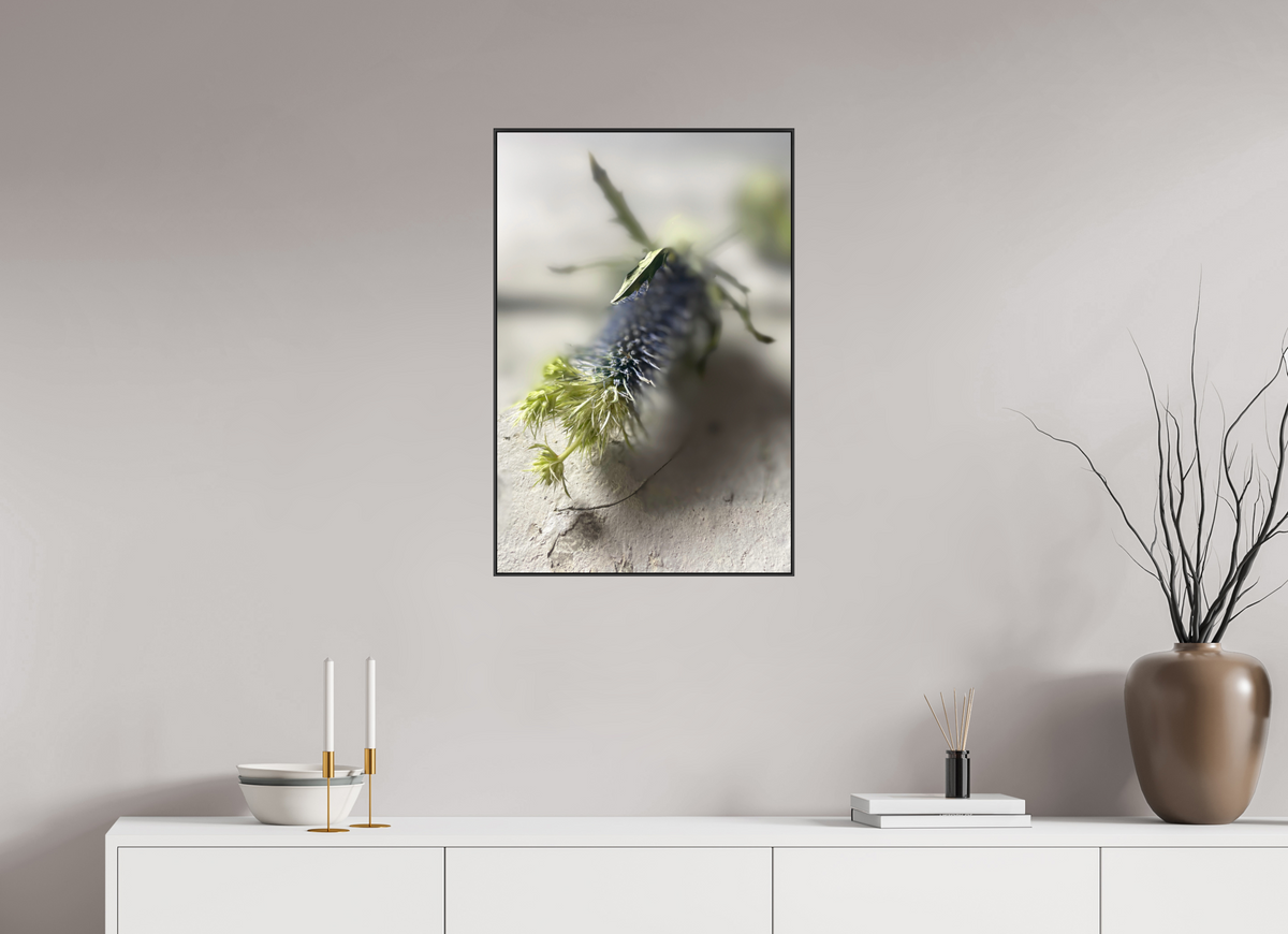 50 x 75 cm, Foto-Abzug hinter Acrylglass Glänzend, ArtBox aus Aluminium (Schwarz) 14a Fragile Begegnungen 3a